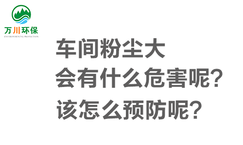 車間粉塵大會有什么危害呢？該怎么預(yù)防呢？